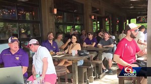 LSU fans celebrate baseball team's win