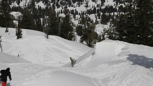 Skier Crashes Into Tree While Attempting Stunt