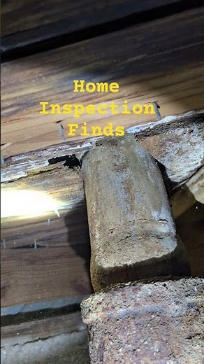 Water damage and wood rotted subfloor at toilet connection. #homeinspection