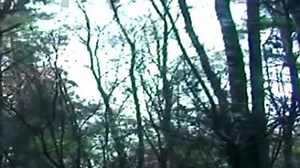 21K views · 399 reactions | #sightings | Church of the Flying Spaghetti Monster | Facebook