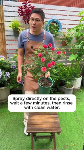 Benign methods for killing pests in plants #garden #gardening #plants #planting #planthacks | Garden Tips
