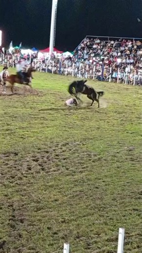 Miguel Gomez on Reels