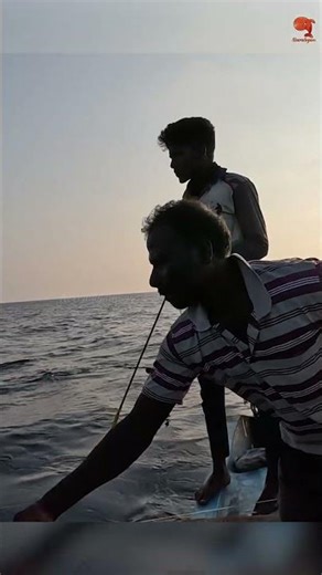 Catching Tuna Fish in the Deep Sea #fishing #fishingvideo #fishingtime