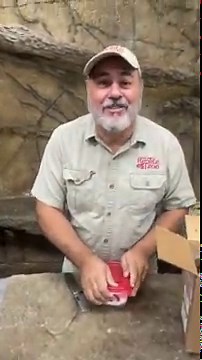 Unboxing a two headed snake ? #shorts #animals #reptile #snake #unboxing #whatsinthebox