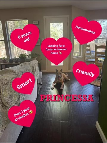 2.6K views · 74 reactions |  헣헿헶헻헰헲혀혀헮 헶혀 헵헲헿헲 혁헼 혀헵헼현 혆헼혂 헵헼현 혁헼...