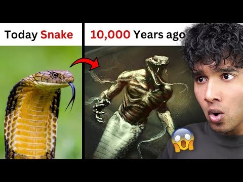 DANGEROUS ANIMALS THAT ARE NOW EXTINCT😱