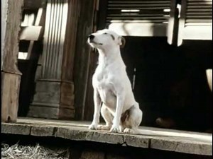 How To Be The Quickest On The Draw: FOR SUCCESSFUL LIVING