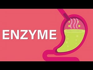 Enzymes Video Lecture | Biology for ACT
