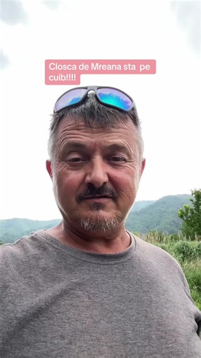 Closca de Mreana - Pescuit la Cuib