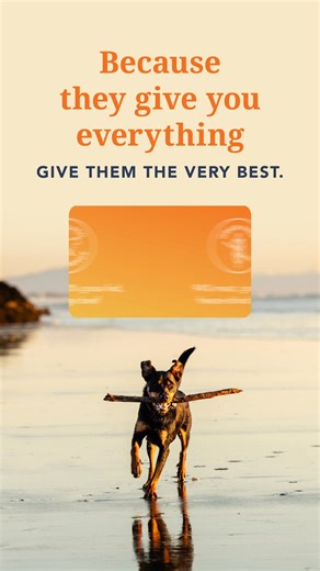 The gold standard in pet nutrition. Our freeze-dried dog food is complete & balanced, and as close to a raw diet as possible. | K9 Feline Natural