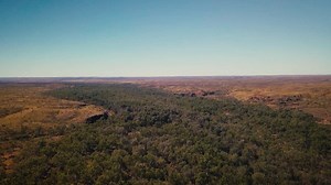 Aerial Drone birds eye view slow tilt up through Australian Desert Oasis Inland river | Premium Stock Video Footage