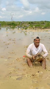 55K views · 711 reactions | Frank está no meio da lama com uma tartaruga-lagarto, um particular réptil que come muitos insetos sem mastigar  #WildFrank #México | Animal Planet Brasil | Facebook