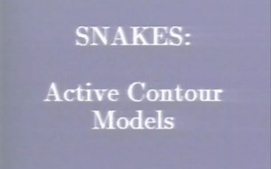 snakes: active contour model