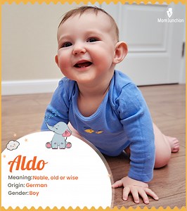 Aldo Name, Meaning, Origin, History, And Popularity