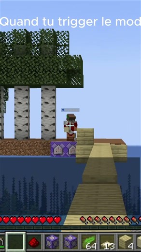 Quand tu trigger le mod #minecraft #gaming #clips #brokenscript