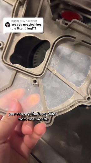 Tips for Easy Dishwasher Filter Cleaning for First-Time Homebuyers