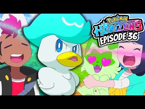 The Battle of RIZZ in the Pokemon Anime...