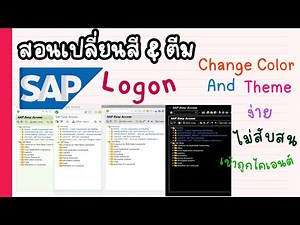 [Telling SAP basics] Let's see how to change colors & change themes for SAP GUI as you like EP1