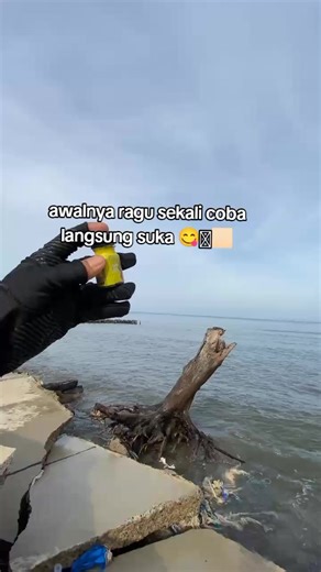 Discover the Benefits of Essential Oil Aromatherapy