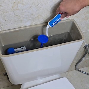 Just put toothpaste down the toilet and you'll never have this problem again! | Wonderful Recipes and Tips