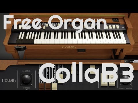 Free Organ - Sampleson CollaB3 (No Talking)