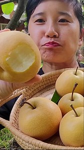an le han quoc | Nhung Ha Cuoc Song My