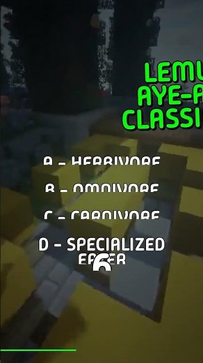 How is the lemur Aye-aye classified according to its diet?