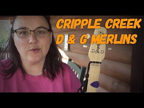 Seagull Merlin M4 Cripple Creek Lesson | D and G Merlin lessons