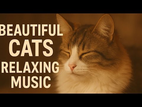 Beautiful Cats with Relaxing Music | Stress Relief & Calm