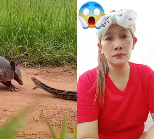 😱😱😱 #highlightseveryone #postviralシfypシ゚viralシalシ #fypシ゚viralシfypシ゚ | Simply Bing