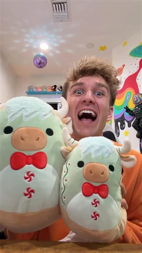 Carter Kench on Instagram: "Can’t believe they have them all at Squishmallows.com😍 #squishmallows #decoration"