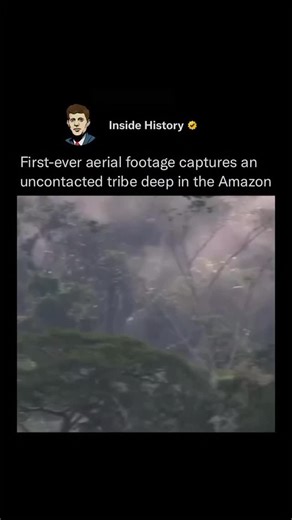 TRUSTLINK SOLUTIONS on Instagram: "You’re witnessing a world few were ever meant to see! For the first time — with the help of the BBC — you’re watching real footage of an uncontacted tribe, deep in the heart of the Amazon rainforest. These people have never used a phone, never seen a city, and don’t speak any language you know. They live entirely off the land, following ancient traditions that have endured for thousands of years. Filmed from a kilometer above, through a powerful zoom lens, this