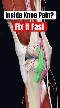 Inside Knee Pain Relief (MCL Strain Fix in 3 Minutes!) #kneepain #mclstrain #mclinjury