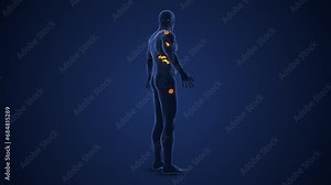 Human Endocrine System or Muscarinic acetylcholine receptor medical animation