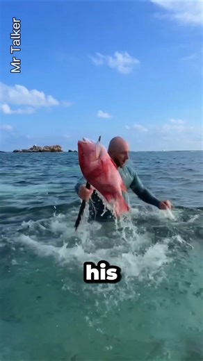 One spear straight away caught a red snapper