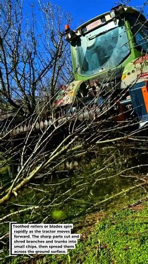 TREE BRANCHES SHREDDED IN ONE PASS – SUPER COOL LAND CLEARING TOOL!