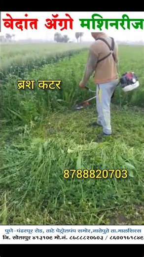 शेतीतील नवा साथी - ब्रश कटर मशीन ! Brush Cutter Agriculture Tool ! Brush Cutter Demo