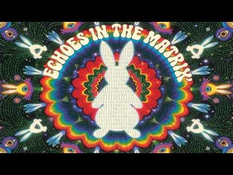 Echoes in The Matrix | EDM / Techno-Pop