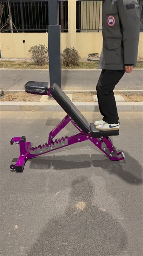 Adjustable Utility Bench for Strength Training, Home Fitness #dumbbellbench #gym #Fitness #fitnessequipment | 李亦乐