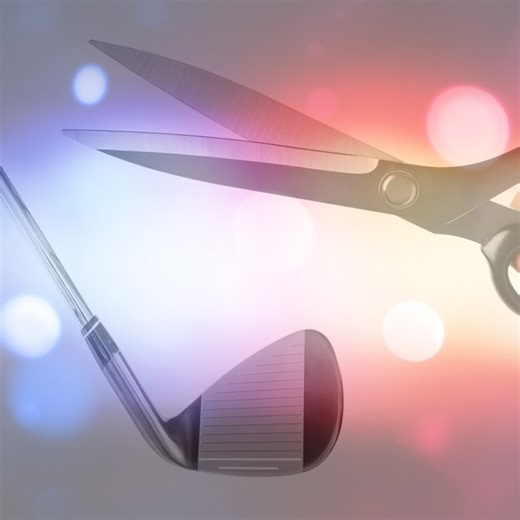 North Port man murders roommate using scissors, golf clubs: PCA