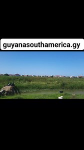 East Coast Demerara www.guyanasouthamerica.gy | Guyana, South America