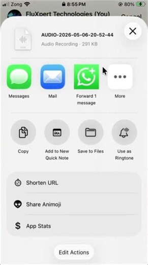 How to Enable & Use Transcriber for WhatsApp on iOS (Step-by-Step Guide)
