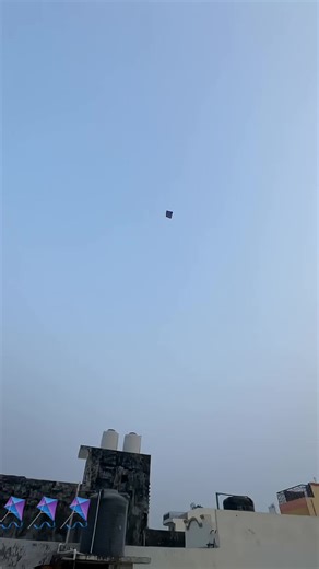 Kite Flying Techniques for Enthusiasts