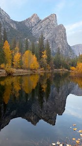 Couldn’t have asked for a more perfect fall scene in Yosemite 😍 #yosemite #yosemitenationalpark #california #fallcolors #autumn | Tiffany Nguyen