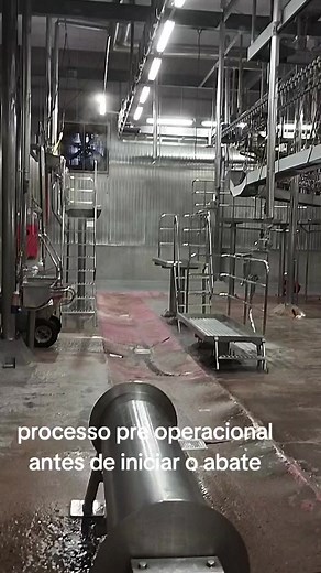 Processo de Abate de Bovino: Passo a Passo no Frigorífico