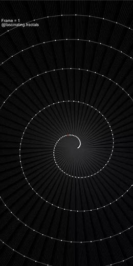 Exploring the Fibonacci Spiral Animation