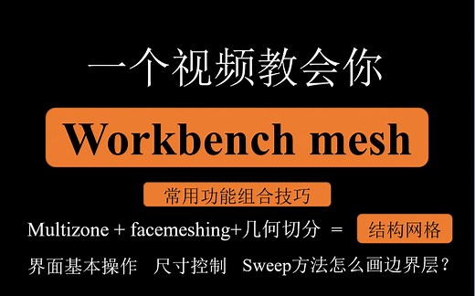 [真人讲解]一个视频教会你workbench mesh