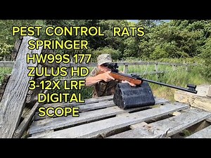 PEST CONTROL RATS WITH SPRINGER HW99S & ZULUS HD 3-12X LRF