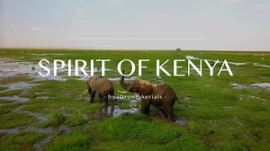 45K views · 806 reactions | I hope you enjoy my footage from my journey in Kenya! I visited the Masai Mara National Reserve , Lake Nakuru National Park, Lake Naivasha, and the Amboseli National Park, which was my absolute favorite because I saw so many baby elephants! Vote for me to win "Video of the Week" here https://www.airvuz.com/contests/drone-video-of-the-week-contest | iDrone Aerials | Facebook