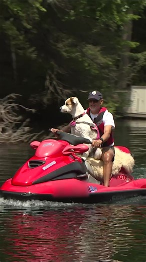 Goodbye summer 2025, you’ll be missed. | Game Warden Channel